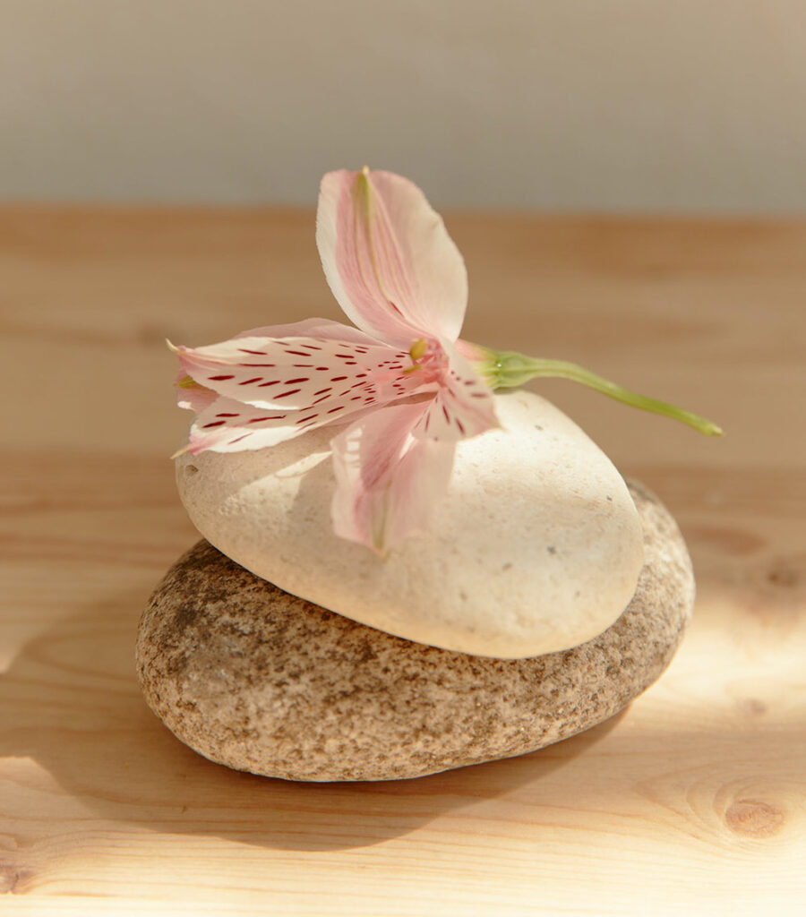 La sophrologie 5 Laurence Camard Sophrologue à Fouesnant