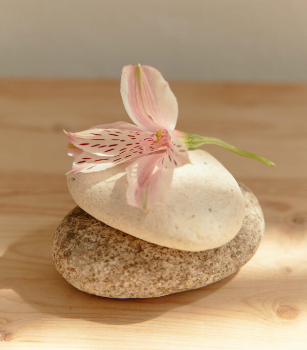 Image hover effect image